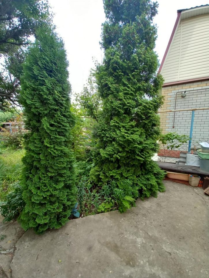 Коттедж/дом 105