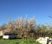 коттедж 23 кв м 2-й Лесопильный проезд