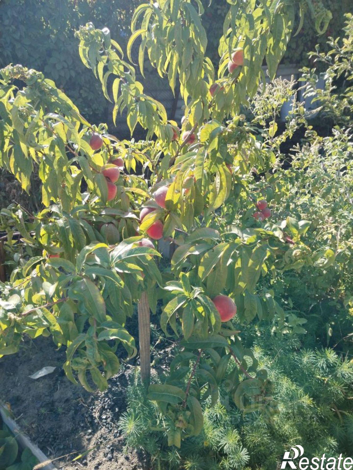 Купить дачу, дом, коттедж за 3 500 000 рублей