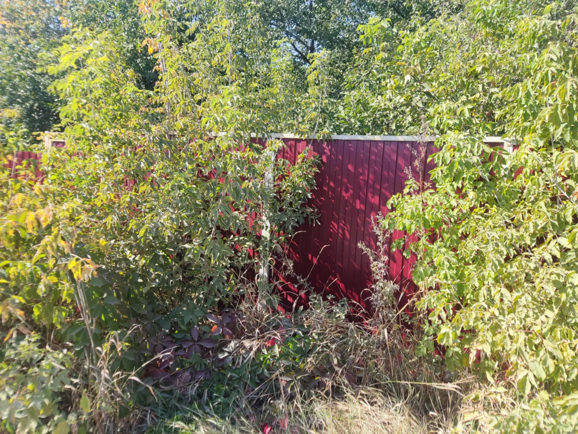 Купить дачу, дом, коттедж за 2 200 000 рублей на Зеленая, 4