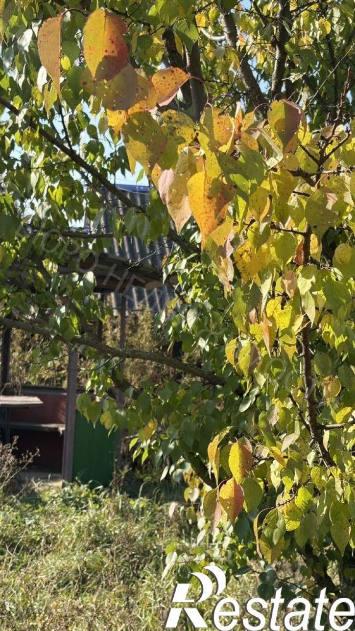 Коттедж/дом Комсомольская, 101